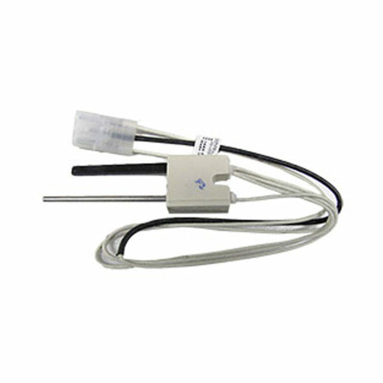 Rheem H.S.I. Igniter and Flame Probe 071420 1st Choice Hot Water